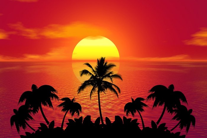 Tropical Sunset Summer Beach Sunset Tropical Beach